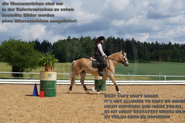 s_K3F05851.JPG
